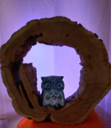 beleuchtete Dekoration Eine Eule aus Holz sitzt in einer hohlen Baumscheibe, welche indirekte Licht hat.